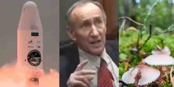 കൂണിൽ നിന്നുള്ള വിഷബാധ, റഷ്യൻ ബഹിരാകാശ ശാസ്ത്രജ്ഞന് ദാരുണാന്ത്യം, മരണം ലൂണ 25 തകർന്നതിന് പിന്നാലെ