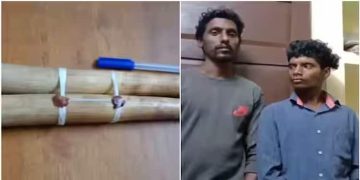 പരുന്തും പാറയിൽ ആനക്കൊമ്പുകളുമായി രണ്ട് പേർ  പിടിയിൽ