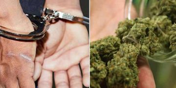 മലപ്പുറത്ത് നിന്ന് കഞ്ചാവുമായി പാലക്കാട് സ്വദേശി പിടിയില്‍