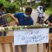 നിപ : കോഴിക്കോട് ജില്ലയിലെ നിയന്ത്രണങ്ങൾ നീക്കുമോയെന്ന് ഇന്നറിയാം; നിർണായക യോഗം ഇന്ന്