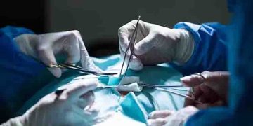 രണ്ട് മാസം നീണ്ട ശസ്ത്രക്രിയ, പന്നിയുടെ വൃക്ക മനുഷ്യനില്‍ തുന്നിച്ചേര്‍ത്തു; പരീക്ഷണം വിജയമെന്ന് ഗവേഷകര്‍