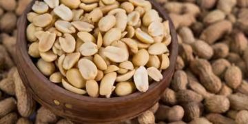 ദിവസവും നിലക്കടല കഴിക്കാറുണ്ടോ? എങ്കില്‍, നിങ്ങളറിയേണ്ടത്…