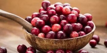 ലോലോലിക്ക കഴിക്കാന്‍ ഇഷ്ടമാണോ? അറിയാം ഇക്കാര്യങ്ങള്‍…