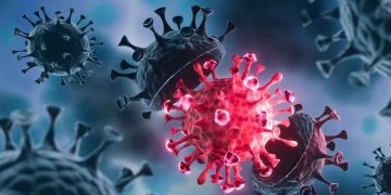 ‘കോവിഡിനേക്കാൾ മാരകം, നിരവധിപ്പേർ മരിച്ചേക്കും; ഭയക്കണം ഡിസീസ് എക്സിനെ’