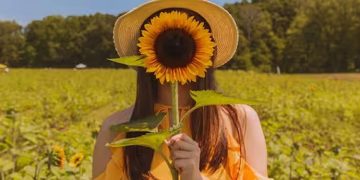 തലമുടി കൊഴിയുന്നുണ്ടോ? ഡയറ്റില്‍ ഉള്‍പ്പെടുത്താം ഈ അഞ്ച് വിത്തുകള്‍…