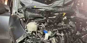 ഒട്ടകവുമായി കൂട്ടിയിടിച്ച് കാര്‍ മറിഞ്ഞ് അപകടം; ഒരാള്‍ മരിച്ചു