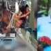 ദമ്പതികളുടെ മരണം: സ്വകാര്യ ബസിന്റെ ഡ്രൈവറും ഉടമയും റിമാന്ഡില്, ഡ്രൈവറുടെ ലൈസന്സ് സസ്പെന്ഡ് ചെയ്യും