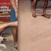 ‘വണ്ടൂരിനെ വട്ടം കറക്കി പൂച്ചക്കുട്ടി’, ബസിനടിയിൽ ഓടിക്കേറി; ഉണ്ടാക്കിയത് കനത്ത ബ്ലോക്ക്