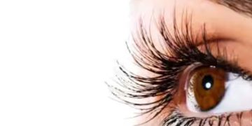 കണ്ണുകളെ പൊന്നുപോലെ സംരക്ഷിക്കാം ; ഈ ഭക്ഷണങ്ങൾ ഡയറ്റിൽ ഉൾപ്പെടുത്തൂ