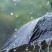 അറബിക്കടലിൽ ‘തേജ്’ ചുഴലിക്കാറ്റ്; അടുത്ത അഞ്ചുദിവസം ശക്തമായ മഴ