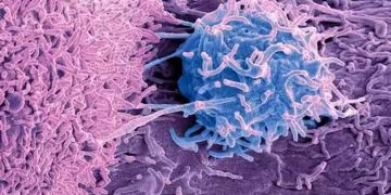 സള്‍ഫര്‍ അടങ്ങിയ ഈ ഭക്ഷണങ്ങള്‍ കഴിക്കൂ, ക്യാന്‍സര്‍ സാധ്യതയെ കുറയ്ക്കാം…