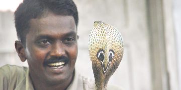 പാമ്പ് പിടിക്കാൻ വാവ സുരേഷിന് ലൈസൻസ് നൽകാൻ തീരുമാനം