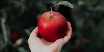 ദിവസവും ഒരു ആപ്പിൾ കഴിക്കൂ  , ​ഗുണങ്ങൾ അറിഞ്ഞിരിക്കാം