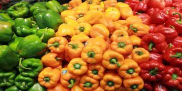 കാപ്‌സിക്കത്തിന്റെ ആരോ​ഗ്യ​ഗുണങ്ങൾ അറിയാതെ പോകരുത്