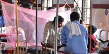 ജീവനെടുത്ത് എലിപ്പനിയും ഡെങ്കിപ്പനിയും; സംസ്ഥാനത്ത് ഈ മാസം പനിബാധിച്ച് മരിച്ചത് 32 പേർ