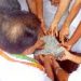 കെ-റെയിൽ കുറ്റിയിൽ തളർന്നില്ല; തങ്കമ്മക്ക് പുതിയ വീടിന് തറക്കല്ലിട്ടു