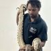 ഹോട്ടലിന്റെ സ്റ്റോർറൂമിൽനിന്ന് പെരുമ്പാമ്പിനെ പിടികൂടി