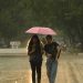 സംസ്ഥാനത്ത് ഇന്നും ഒറ്റപ്പെട്ട മഴയ്ക്ക് സാധ്യത ; പ്രത്യേക മുന്നറിയിപ്പില്ല