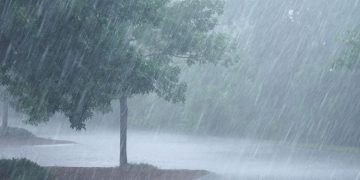 കേരളത്തിൽ ഇടിമിന്നലോട് കൂടിയ മഴക്ക് സാധ്യത ; ഇന്ന് 4 ജില്ലകളിൽ യെല്ലോ അലർട്ട്