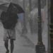 തലസ്ഥാനത്തെ കനത്ത മഴ; 23 വീടുകള്ക്കു ഭാഗിക നാശനഷ്ടം, 43.57 ലക്ഷത്തിന്റെ കൃഷിനാശം
