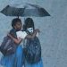 മഴ അവധി ഇന്നും തുടരും, രണ്ട് ജില്ലകളിലെ വിവിധ സ്കൂളുകൾക്ക് നിയന്ത്രിത അവധി; അറിയേണ്ടതെല്ലാം