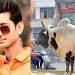 യുപിയില് തെരുവുകാള സ്കൂട്ടറില് ഇടിച്ച് ബജ്റംഗ്ദള് പ്രവര്ത്തകന് ദാരുണാന്ത്യം