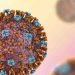 ചൈനയില് H9N2 പനി ; സുക്ഷ്മ നിരീക്ഷണം ഏര്പ്പെടുത്തി കേന്ദ്ര ആരോഗ്യ മന്ത്രാലയം