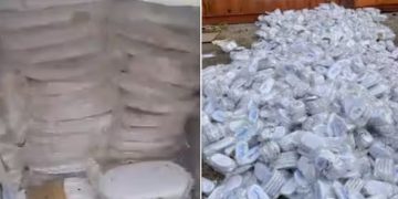 കുവൈത്തിലേക്ക് കടത്താൻ ശ്രമിച്ച 800 കിലോ ഹാഷിഷ് പിടികൂടി