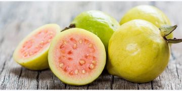 ദിവസവും ഒരു പേരയ്ക്ക കഴിക്കുന്നത് ശീലമാക്കൂ ; ​ഗുണങ്ങൾ ഇതൊക്കെയാണ്