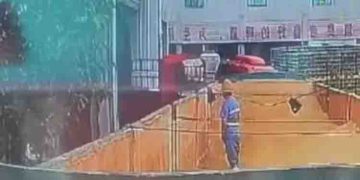 ബിയർ ചേരുവയിലേക്ക് മൂത്രമൊഴിച്ചതിന് കാരണം ഇത്, അറസ്റ്റിന് പിന്നാലെ വെളിപ്പെടുത്തി വെയർഹൗസ് തൊഴിലാളി