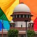 സ്വവർഗ്ഗ വിവാഹം: സുപ്രീംകോടതി വിധിക്കെതിരെ പുനഃപരിശോധനാ ഹർജി