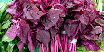 പ്രമേഹം തടയും, കൊളസ്ട്രോൾ നിയന്ത്രിക്കും ; ചുവന്ന ചീരയുടെ മറ്റ് ആരോ​ഗ്യ​ഗുണങ്ങളെ കുറിച്ചറിയാം