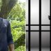 നിരപരാധി, 14 കാരിയെ പീഡിപ്പിച്ച് ഗർഭിണിയാക്കിയെന്ന് കുറ്റത്തിന് ജയിലിൽ 98 ദിവസം! യഥാർത്ഥ പ്രതി അയൽവാസി