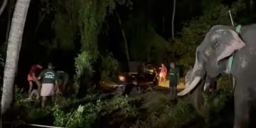 കുന്നംകുളം കോട്ടിയാട്ടുമുക്ക്‌ പൂരത്തിൽ ആനയിടഞ്ഞു ; പാപ്പാനെ കുത്തിയശേഷം വലിച്ചെറിഞ്ഞു