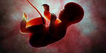 ചികിത്സാ പിഴവിനെ തുടർന്ന് ഗർഭസ്ഥ ശിശു മരിച്ചതായി പരാതി