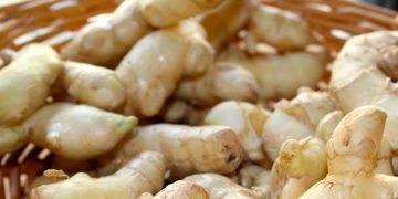 മഞ്ഞുകാലത്ത് പതിവായി ഡയറ്റില്‍ ഉള്‍പ്പെടുത്താം ഇഞ്ചി ; അറിയാം ഈ ഗുണങ്ങള്‍