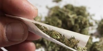 യൂത്ത് കോണ്‍ഗ്രസ് സംസ്ഥാന സെക്രട്ടറിയുടെ വീട്ടില്‍ നിന്ന് കഞ്ചാവ് പിടികൂടി