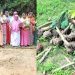 പിരിവെടുത്ത് തുടങ്ങിയ കൃഷി നശിപ്പിച്ചു ; പരാതിയുമായി സ്ത്രീ സംഘം
