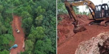 നൂറനാട് മണ്ണെടുപ്പ് നിർത്താൻ ഉത്തരവിട്ട് ജില്ലാ കളക്ടർ