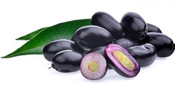 ഞാവൽപ്പഴം കഴിക്കാറുണ്ടോ ? അറിയാം ഈ അത്ഭുത ഗുണങ്ങള്‍