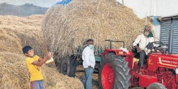 കർണാടകയിൽ നിന്നും കേരളത്തിലേക്ക് തീറ്റപ്പുല്ല് കൊണ്ടുവരുന്നതിന് നിരോധനം