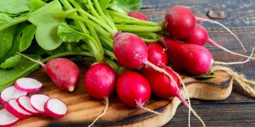 പതിവായി റാഡിഷ് കഴിക്കൂ ; അറിയാം ഈ ആരോഗ്യ ഗുണങ്ങള്‍