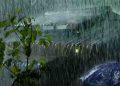 വടക്കൻ ജില്ലകളിൽ ഇടിമിന്നലോട് കൂടിയ മഴയ്ക്ക് സാധ്യത