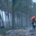 അതിശക്തമഴ ; ജാഗ്രത നിർദ്ദേശവുമായി മലപ്പുറം കളക്ടർ