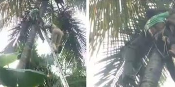 തൃശൂർ അഞ്ചേരിയിൽ തെങ്ങ് കയറുന്നതിനിടെ യുവാവ് അപകടത്തിൽപെട്ടു