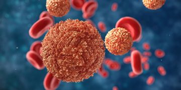 സിക്ക പ്രതിരോധ പ്രവര്‍ത്തനങ്ങള്‍ ശക്തമായി തുടരുന്നു : ആരോഗ്യ മന്ത്രി