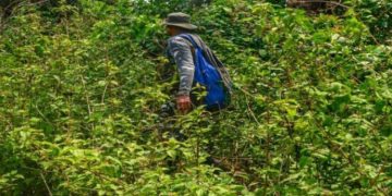 ഛത്തീസ്ഗഡിലെ കങ്കർ ജില്ലയിൽ ഐഇഡികൾ കണ്ടെടുത്തു