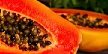 പപ്പായക്കൊപ്പം ഈ അഞ്ച് ഭക്ഷണങ്ങള്‍ കഴിക്കരുതേ…