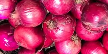 മഞ്ഞുകാലത്ത് ഉള്ളി കഴിക്കുന്നത് കൊണ്ടുള്ള ഗുണങ്ങള്‍…