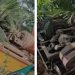 കപ്പൂരിൽ ടോറസ് ലോറി വീടിനോട് ചേർന്ന താഴ്ചയിലേക്ക് മറിഞ്ഞു; ഡീസൽ ചോർന്നു, ഡ്രൈവർക്ക് പരിക്ക്